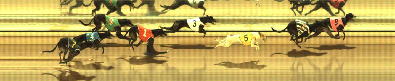 Race result finish photo